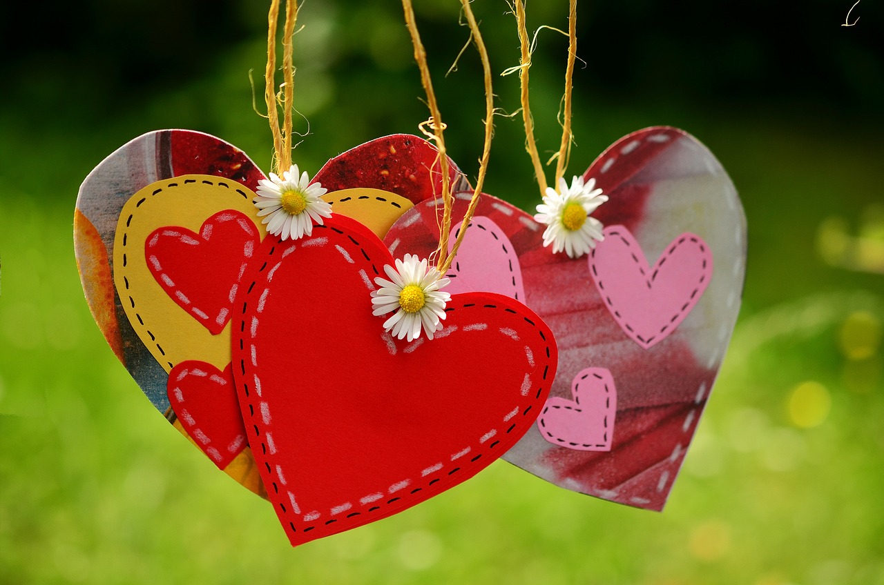 Amor y Compañía para Mayores