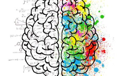 Test de edad mental 2025: ¿Qué tan joven piensas realmente?